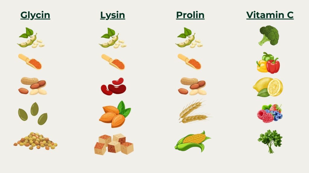 Grafische Darstellung der pflanzlichen Quellen für Glycin, Lycin, Prolin und Vitamin C.