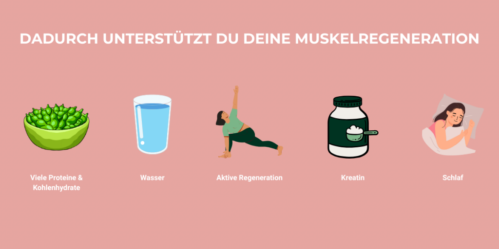 Oben steht "Dadurch unterstützt du deine Muskelregeneration". Darunter sind 5 kleine Grafiken nebeneinander. Eine Schüssel voller Bohnen steht für Proteine und Kohlenhydrate, ein Glas Wasser steht für Trinken nach dem Training, eine Frau, die Yoga macht steht für aktive Regeneration, eine Box mit weißem Pulver steht für Kreatin und eine schlafende Frau steht für Schlaf.